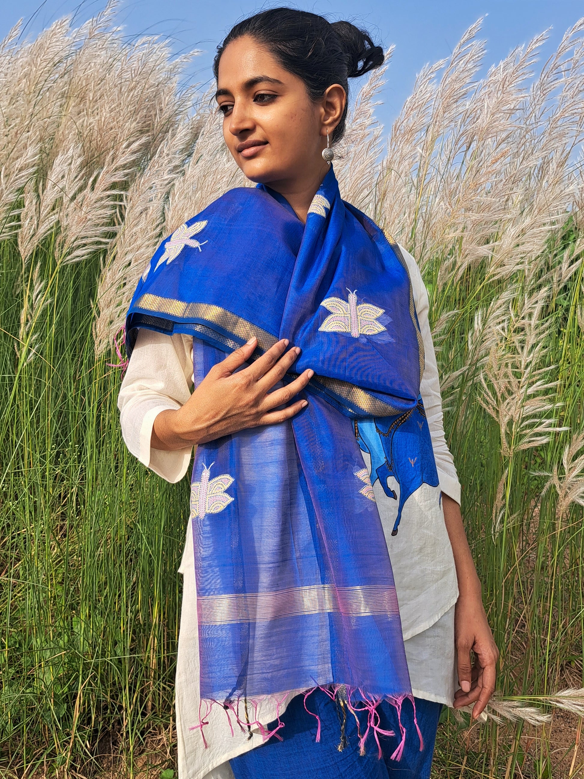 Original Bhil Handpainted Handloom Maheshwari Silk Stole With Tassels