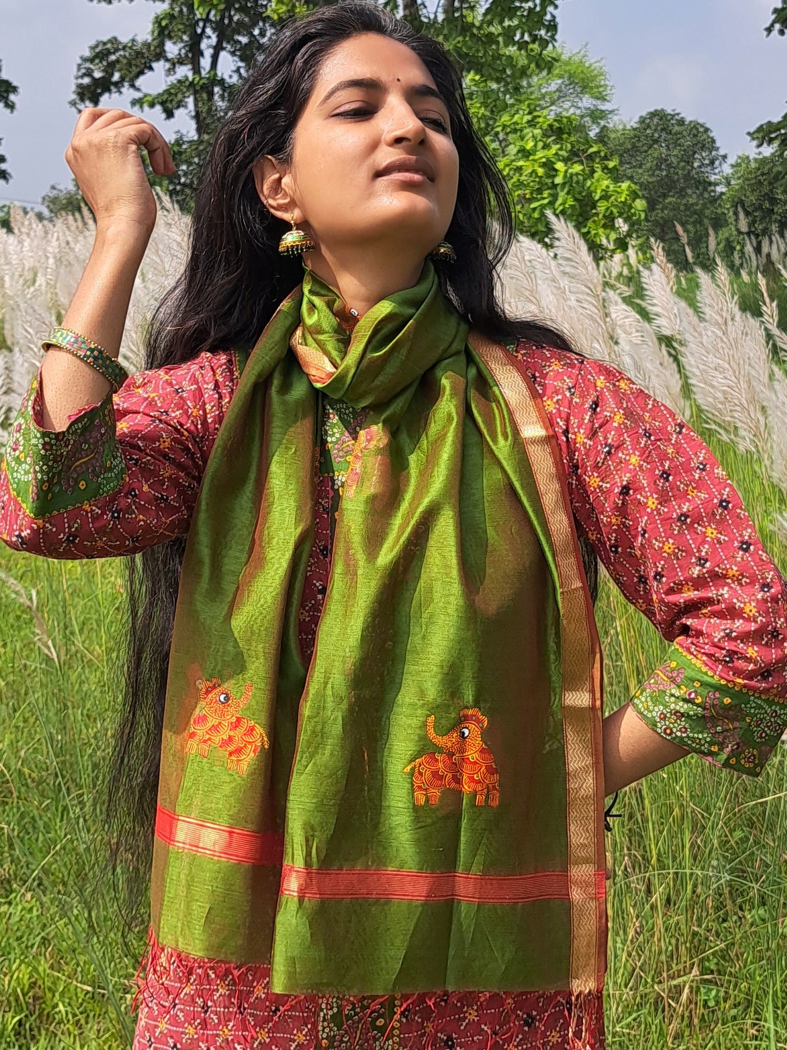 Original Gond Handpainted Handloom Maheshwari Silk Stole With Tassels
