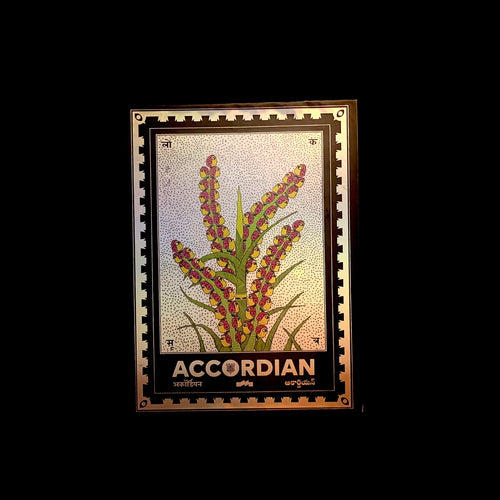 Accordian