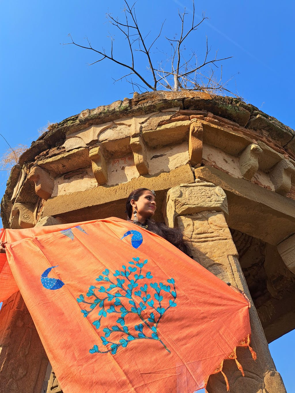 Original Gond Handpainted Dupatta With Tassels